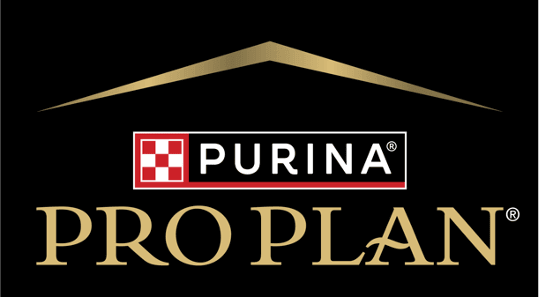 Logo Pro Plan