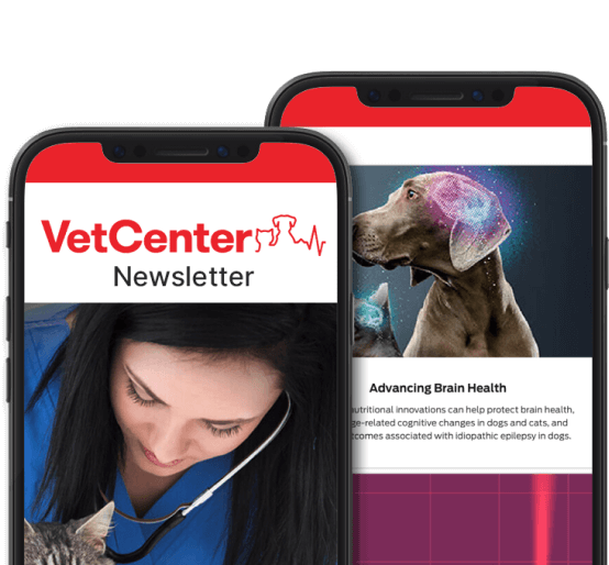 Iscriviti alla nostra newsletter