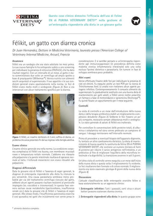 Félikit, un gatto con diarrea cronica