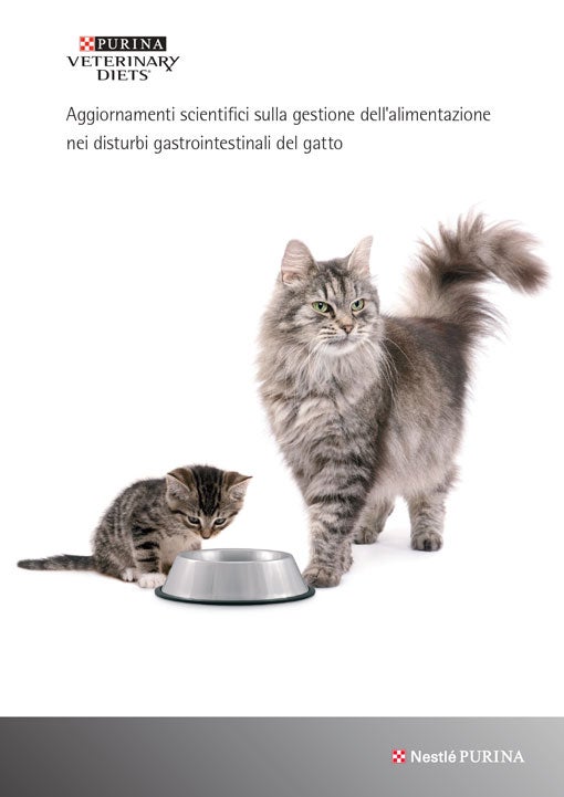 Aggiornamenti scientifici sulla gestione dell'alimentazione nei disturbi gastrointestinali del gatto