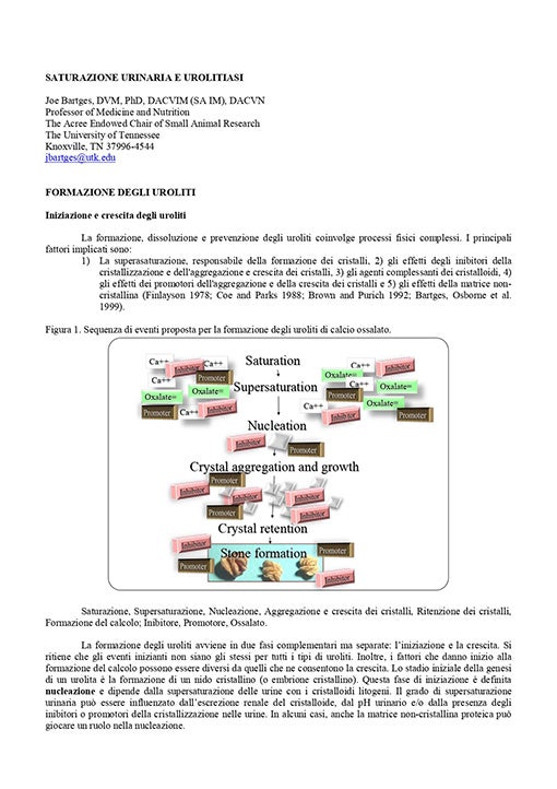 Recent developments in management of feline urolithiasi - Andrew H. Sparkes