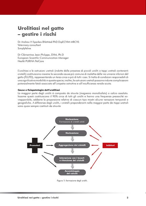 Urolitiasi nel gatto – gestire i rischi