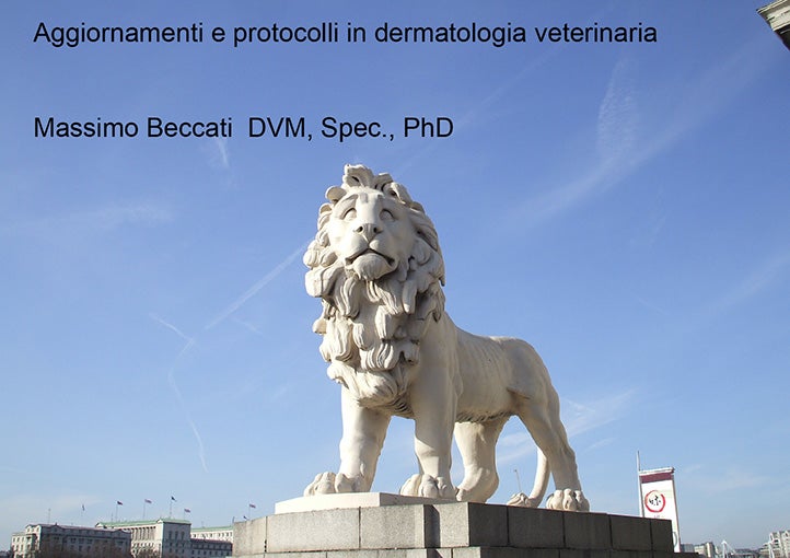 Dr. Massimo Beccati: Aggiornamenti e protocolli in dermatologia veterinaria