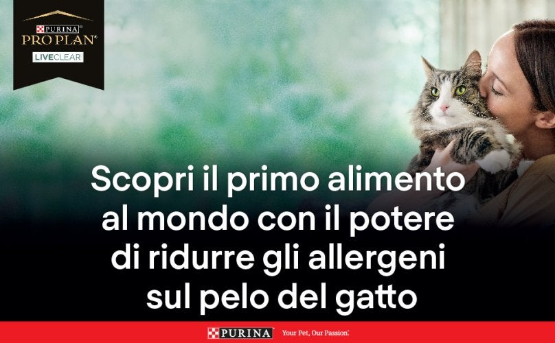 Il primo alimento per contribuire alla riduzione dell'allergene più comune dei gatti