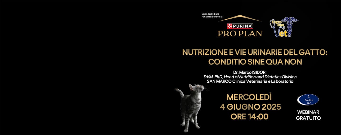 Nutrizione e vie urinarie del gatto