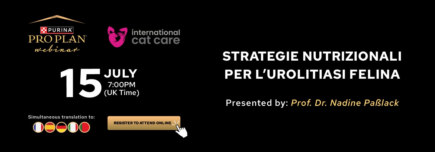 Webinar 15 jul