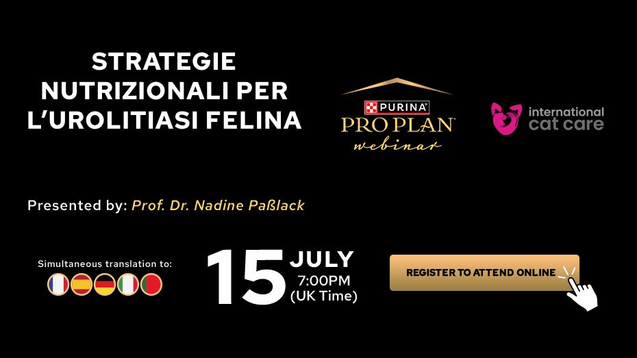 Webinar 15 jul