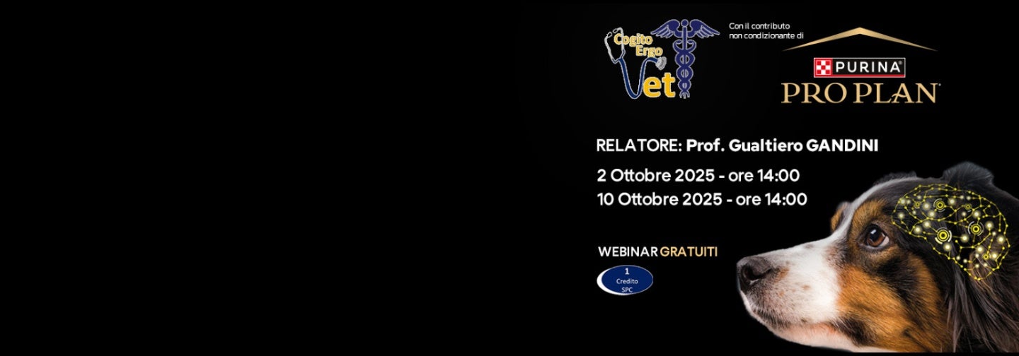 Cogito Ergo Vet