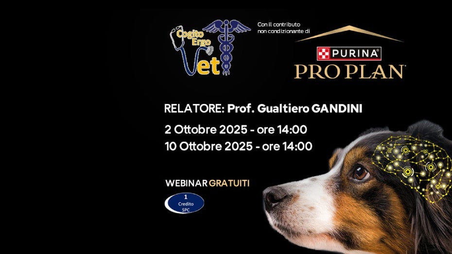 Cogito Ergo Vet