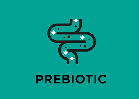 Prebiotic
