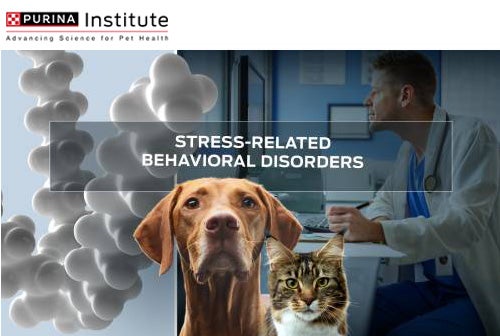 comportamenti stress-correlati