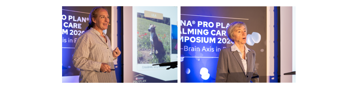 Relatori del Simposio sulla cura rilassante 2026