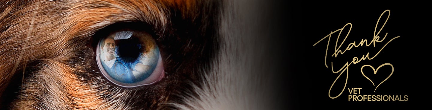 Grazie Professionisti veterinari