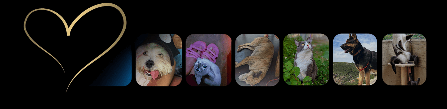 Vediamo la vostra cura e il vostro supporto