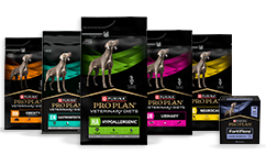 Canine Diete veterinarie per cani