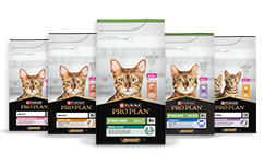 Feline Nutrizione di mantenimento per gatti