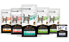 Feline Diete veterinarie per gatti