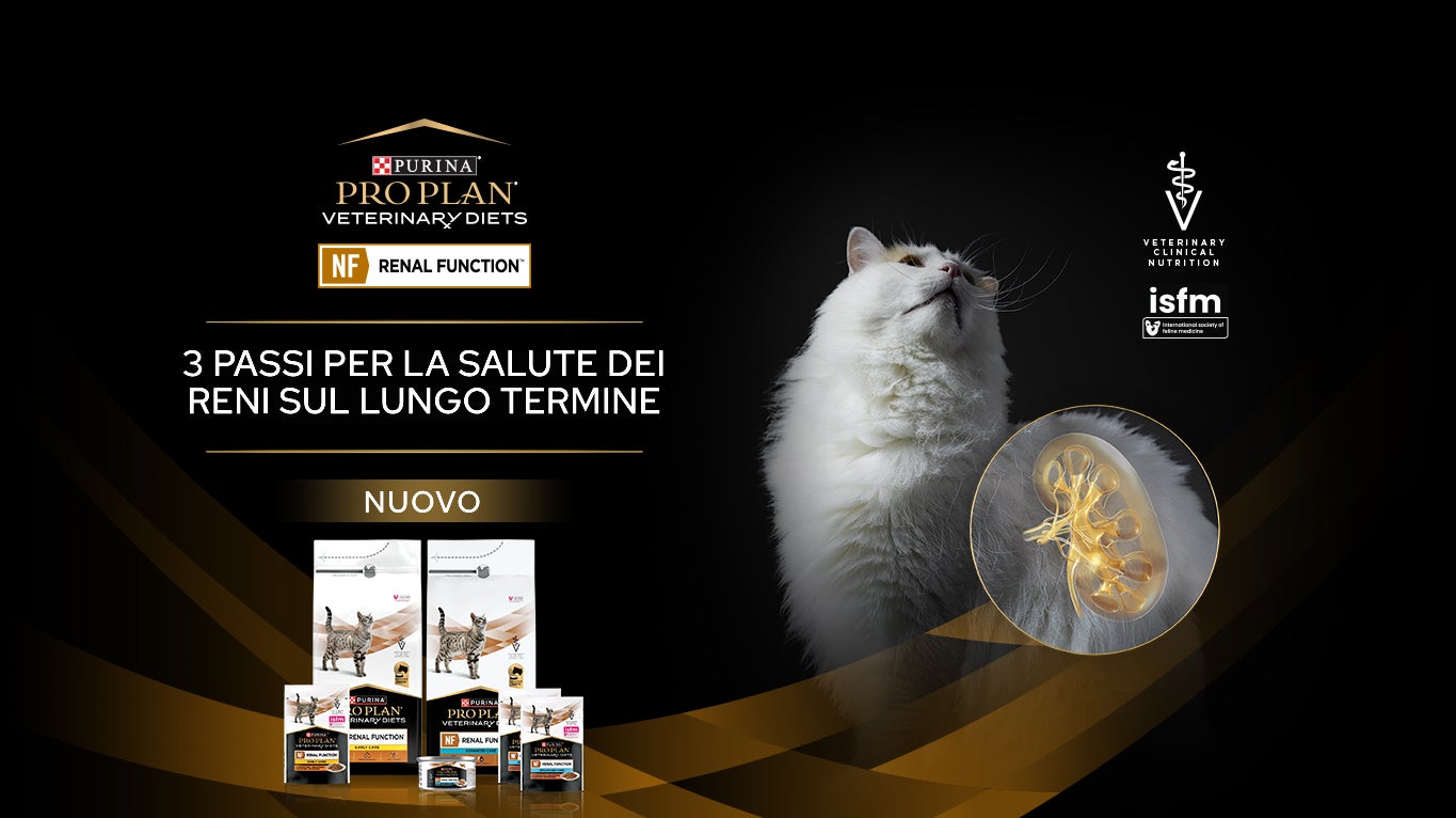 Prodotti PPVD NF Renal Function per gatti, con un gatto e un'illustrazione della salute renale