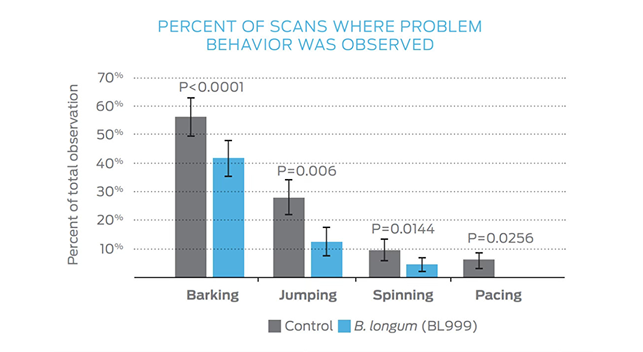 Studio crossover in cieco
