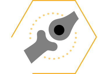 Supporta il movimento e la flessibilità articolare