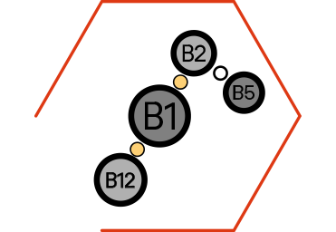Supporta anche la salute della pelle e del pelo