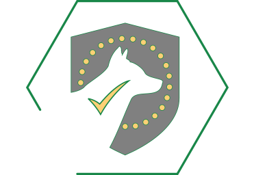 Supporta la salute immunitaria