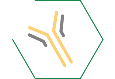 Aiuta con la produzione naturale di anticorpi