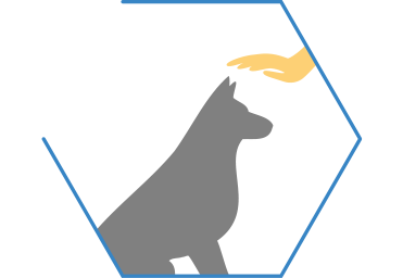 Aiuta a calmare i comportamenti nervosi, come l'abbaiare, i salti, l'andirivieni e il rincorrere la coda