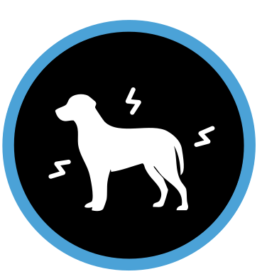 Aiuta i cani ad affrontare i fattori di stress esterni, clinicamente dimostrato