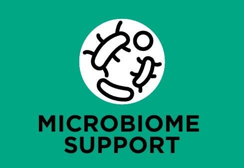 Aggiunta di prebiotico (inulina) per migliorare l’equilibrio del microbioma e la salute dell’apparato digerente