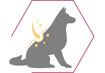 Gli acidi grassi Omega 3 e 6 e la vitamina E supportano la salute della pelle e un pelo lucido