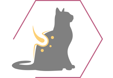 Gli acidi grassi Omega 3 e 6 e la vitamina E supportano la salute della pelle e un pelo lucido