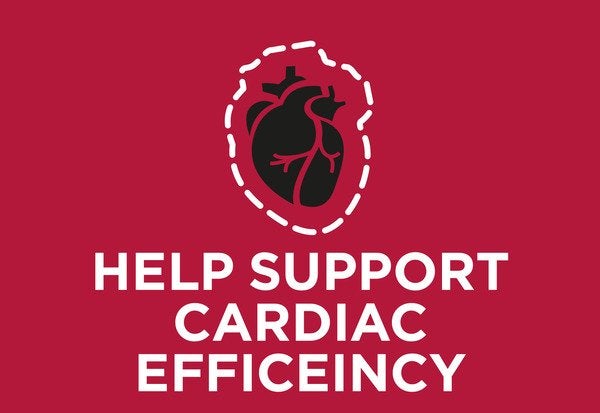 Aiuta a supportare l'insufficienza cardiaca