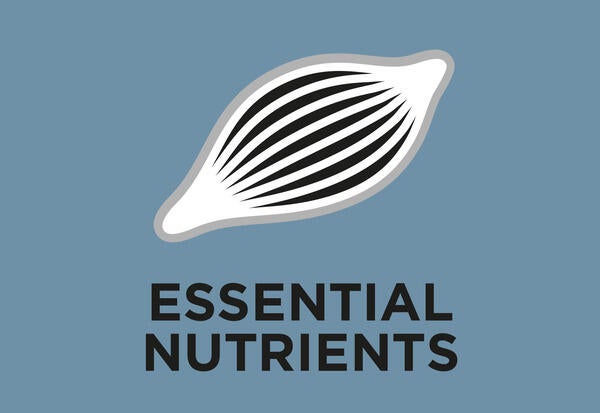 Elevato tenore di sostanze nutritive essenziali