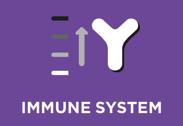 È efficace per supportare il benessere intestinale e le naturali difese dei cani di tutte le età