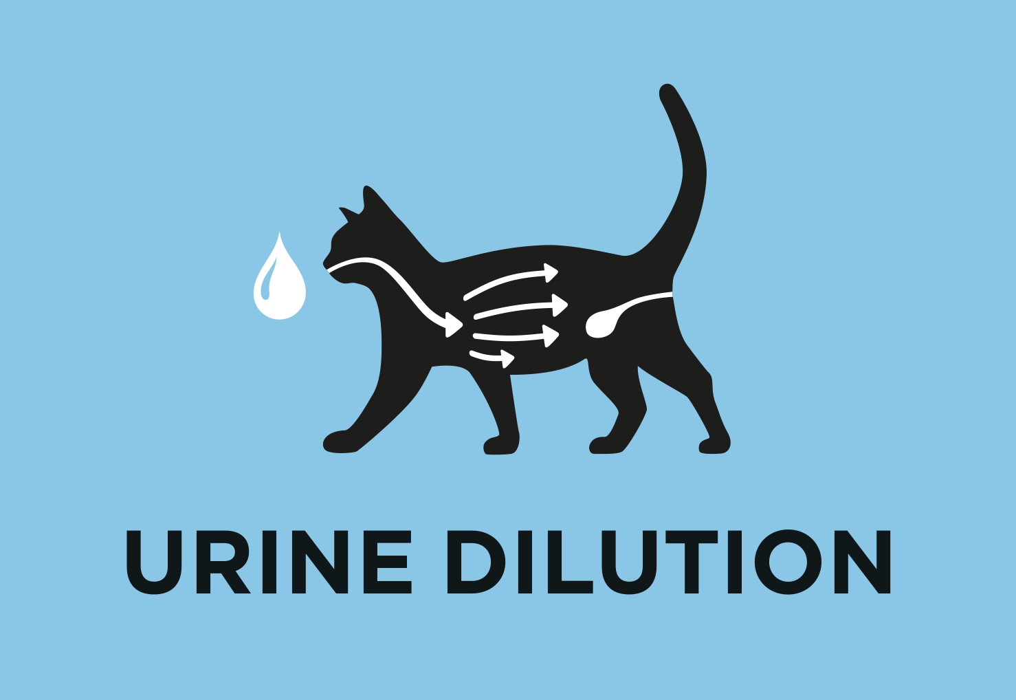 Contribuisce alla diluizione delle urine,  supportando quindi la funzionalità  del tratto urinario.