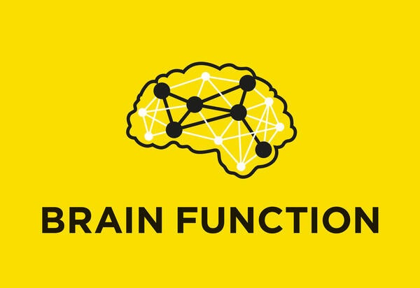 Funzione cerebrale