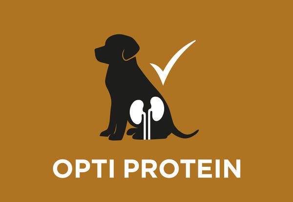 Ridotto contenuto proteico, ma di elevata qualità