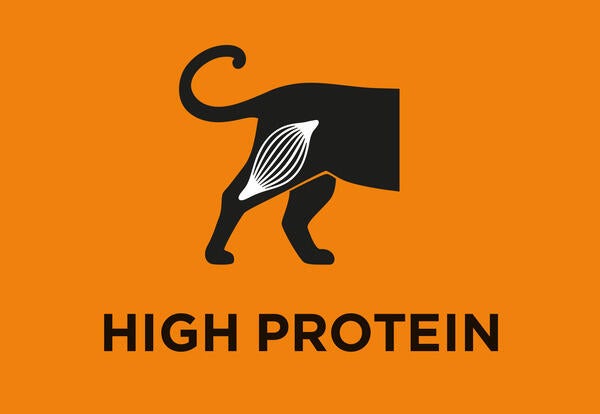 Elevato livello proteico