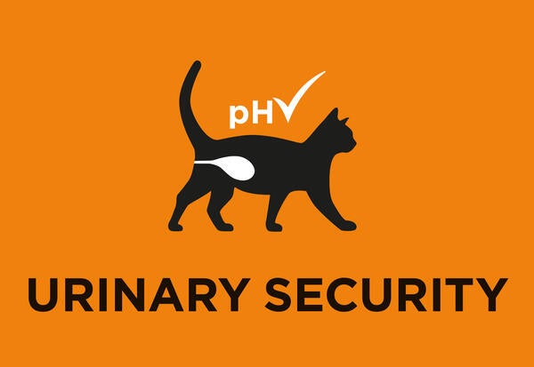 Sicurezza urinaria