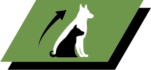 Healthy growth and long term health