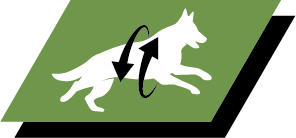 Support healthy joints and active lifestyle