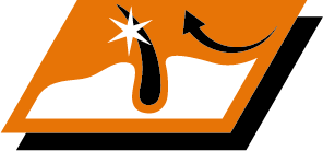 Keep your dog's coat beautifully shiny