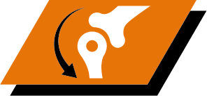 Support healthy joint