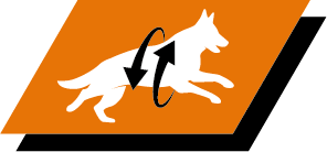 Support healthy joints and active lifestyle