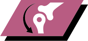 Support healthy joint