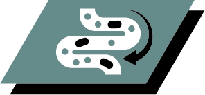 Better gut microflora balance