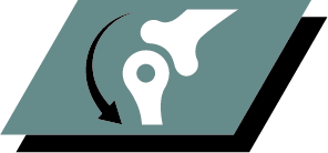 Support healthy joint