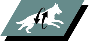 Support healthy joints and active lifestyle