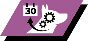 Improves curiosity and responsiveness